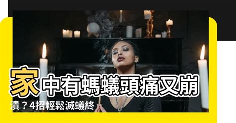 家中有蟻怎辦|家中突然出現很多小螞蟻怎麼辦？專家教你五招消滅家中小螞蟻、。